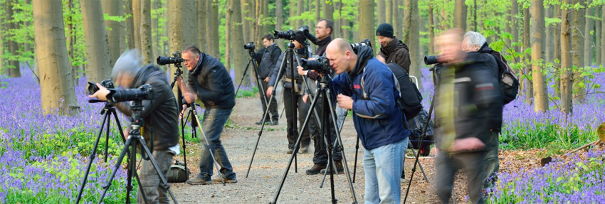 opleiding hallerbos